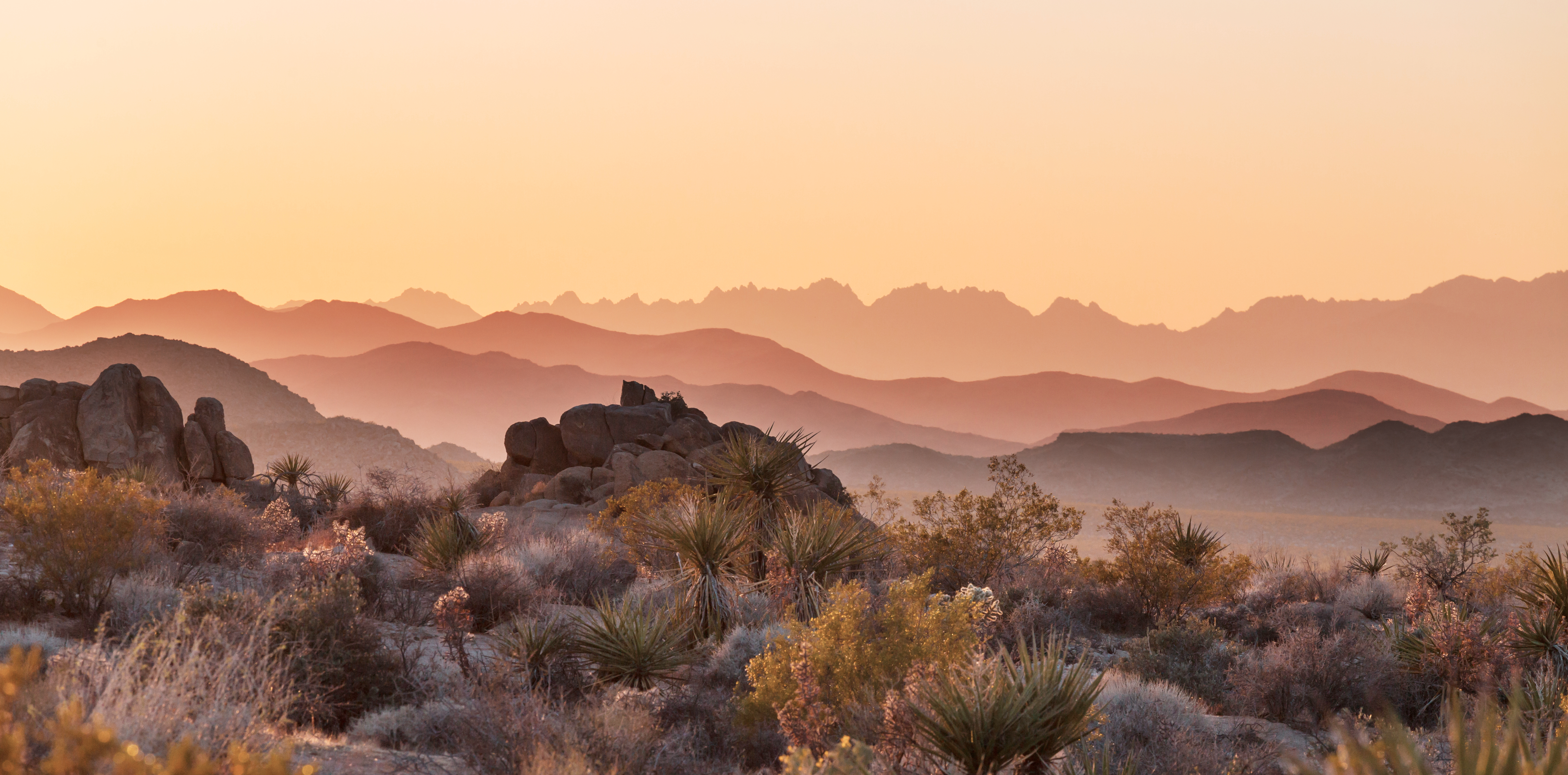 Arizona desert sunset with layered mountains, rocky terrain, and yucca plants—an iconic Southwestern landscape featured in the Dusty Roads crime fiction series.